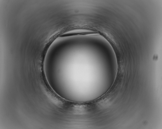 X0000090770450200707201442