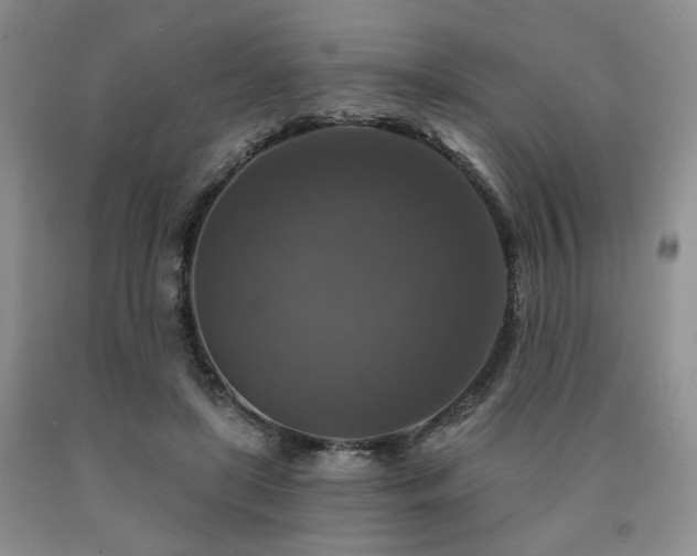 X0000090770451200707201442