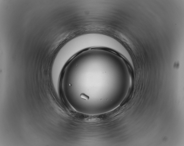 X0000090770452200707201442