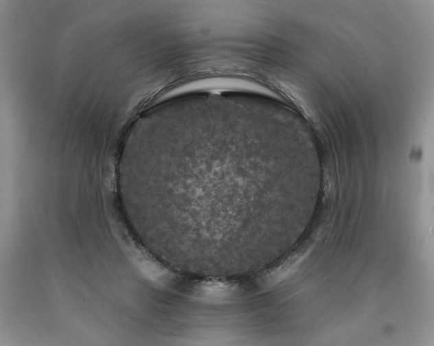 X0000090770453200707201442