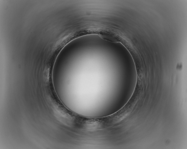 X0000090770454200707201442