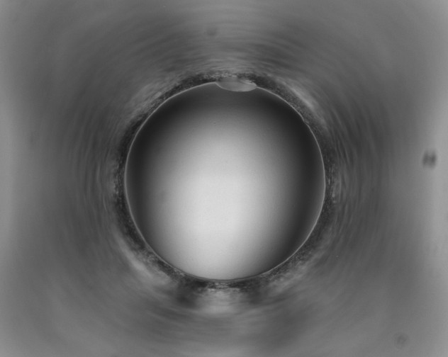 X0000090770455200707201442
