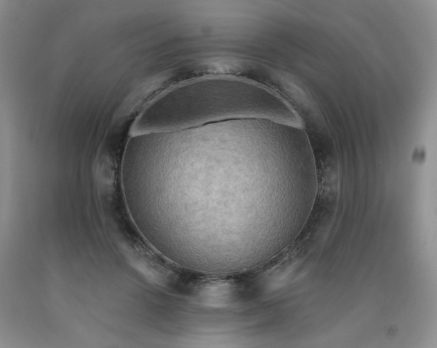 X0000090770456200707201442