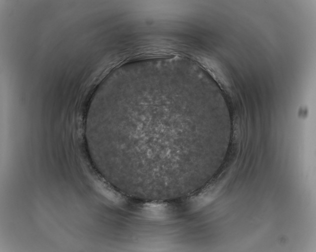 X0000090770457200707201442
