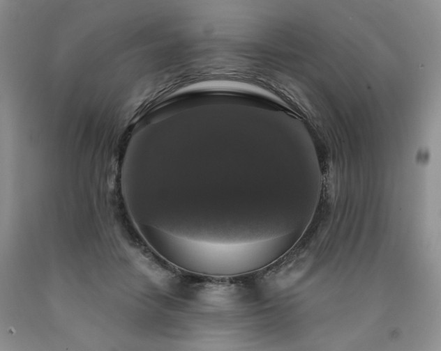 X0000090770458200707201442
