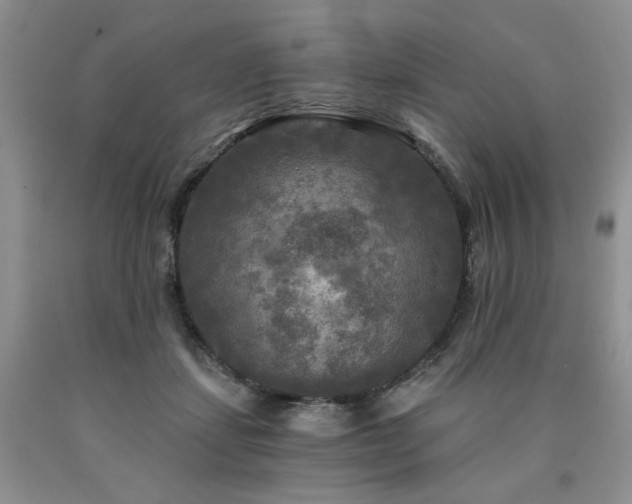 X0000090770459200707201442