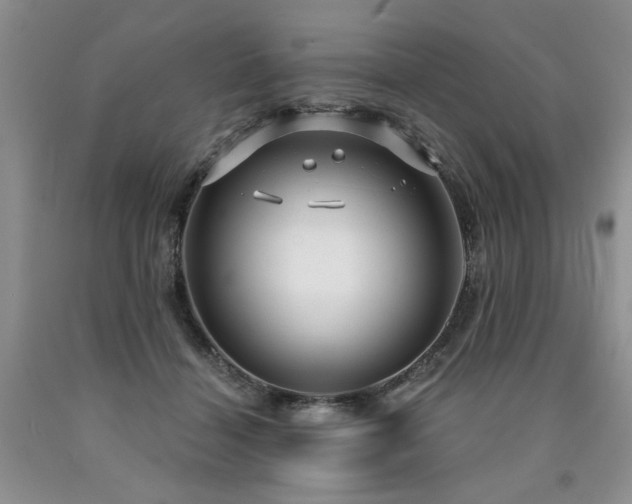 X0000090770460200707201442