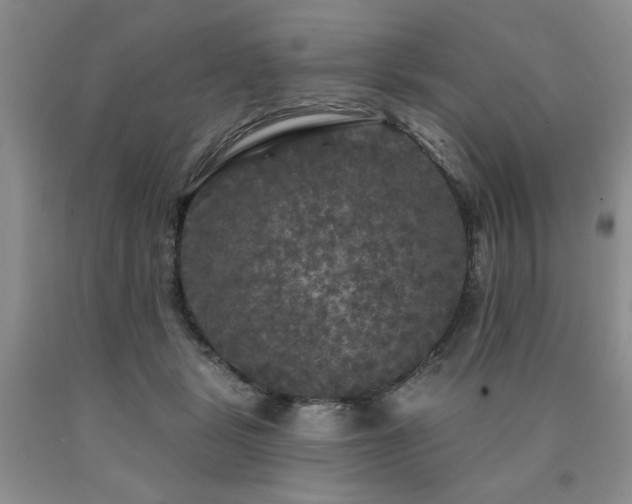 X0000090770461200707201442