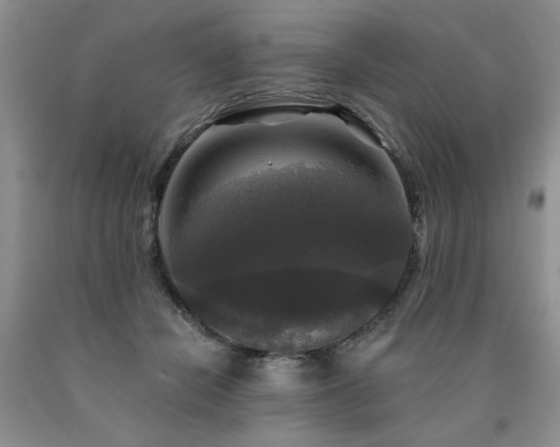 X0000090770462200707201442
