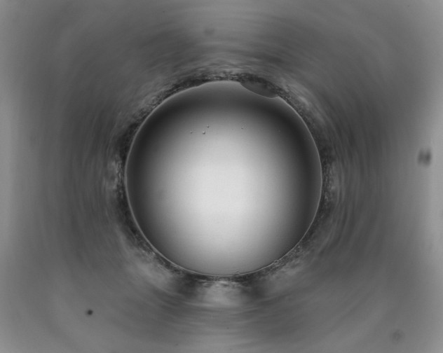 X0000090770463200707201442