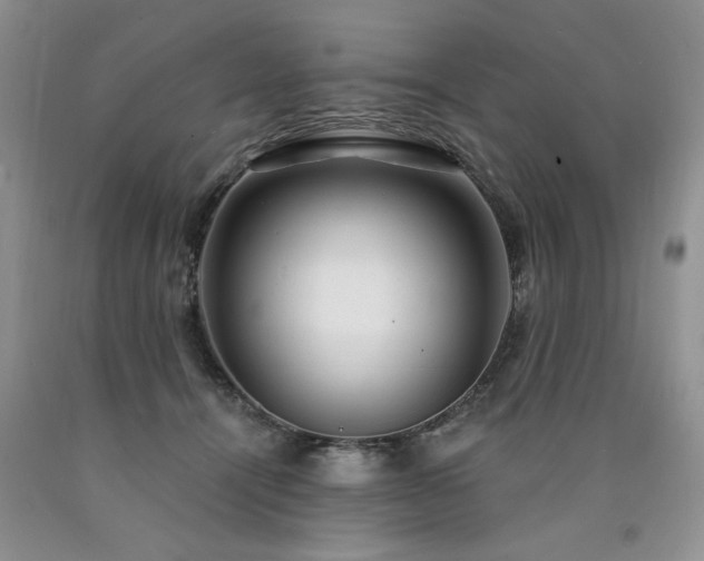 X0000090770464200707201442