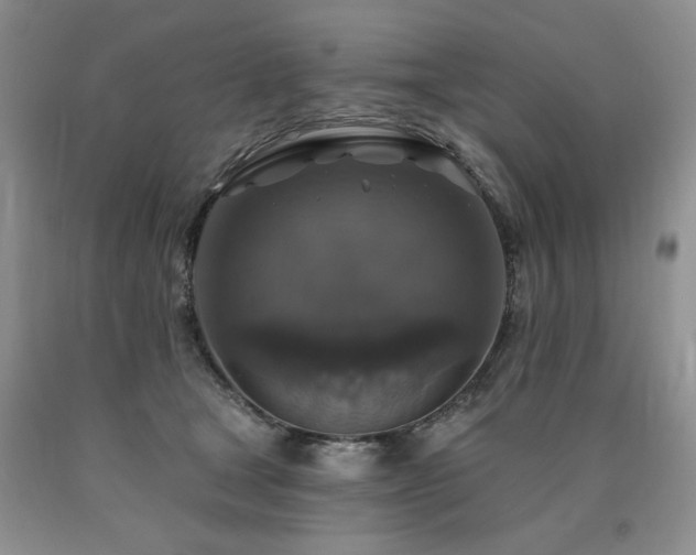 X0000090770465200707201442