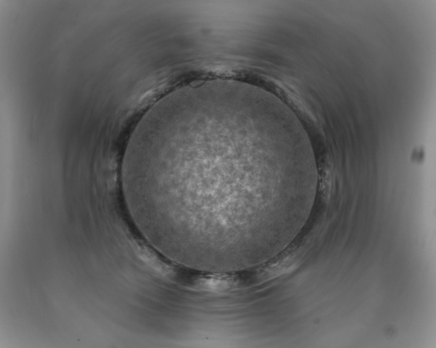X0000090770466200707201442