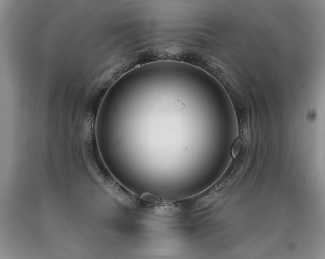 X0000090770468200707201442