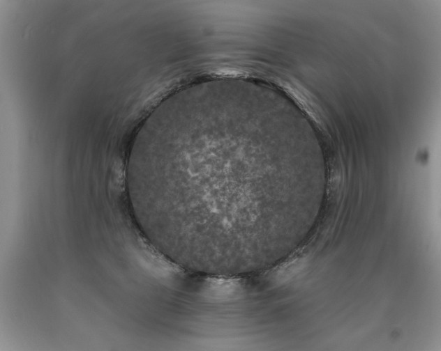 X0000090770469200707201442