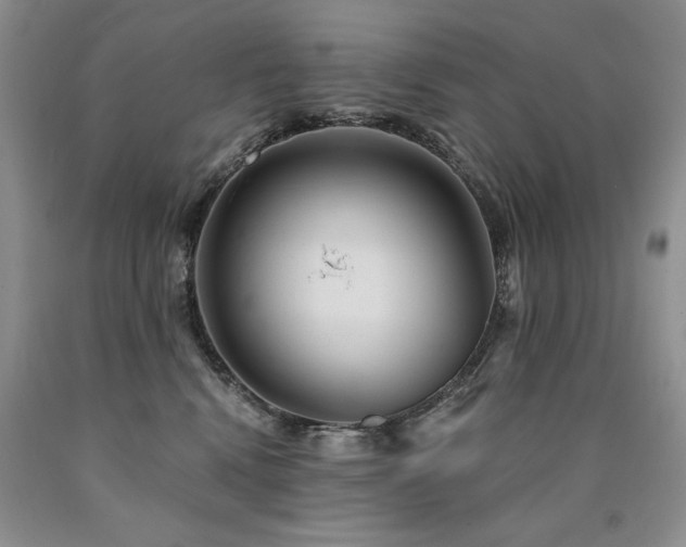 X0000090770472200707201442