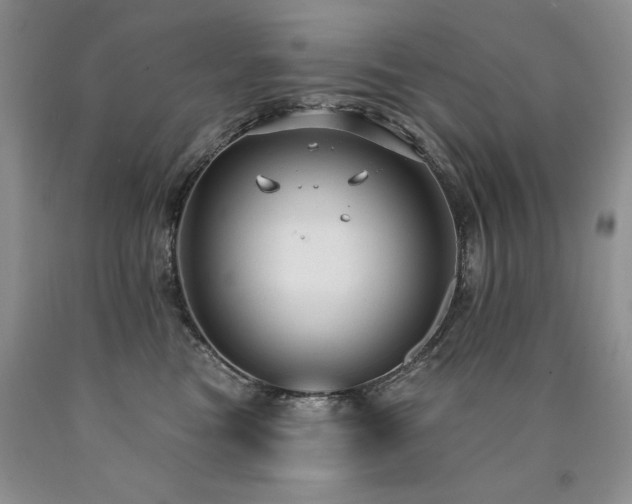 X0000090770473200707201442