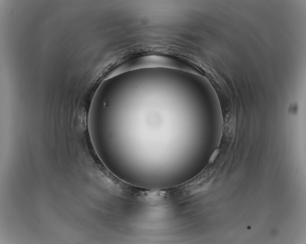 X0000090770474200707201442