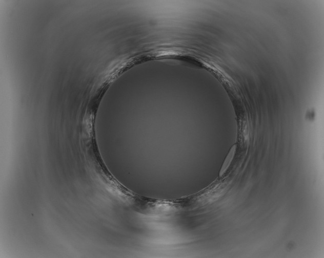 X0000090770475200707201442