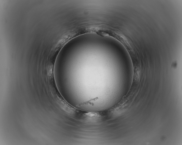X0000090770477200707201442
