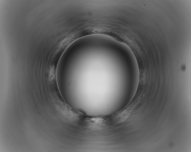 X0000090770478200707201442
