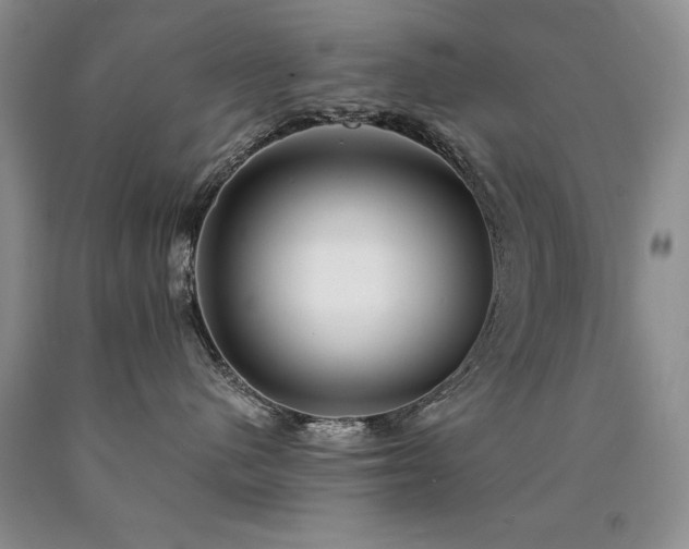 X0000090770480200707201442