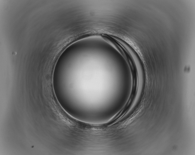 X0000090770481200707201442