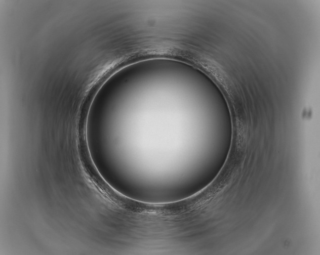 X0000090770482200707201442