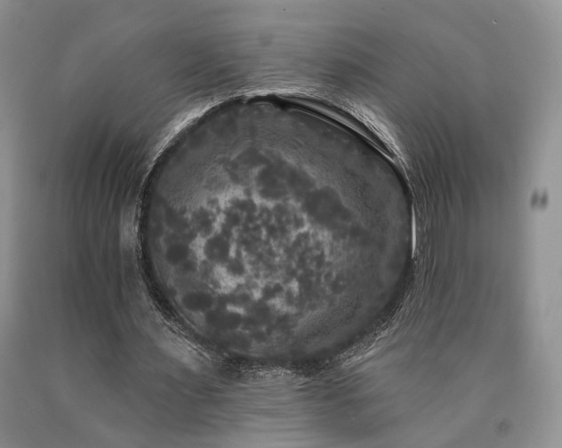 X0000090770483200707201442
