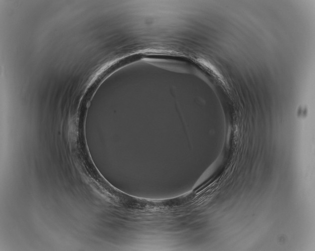 X0000090770484200707201442
