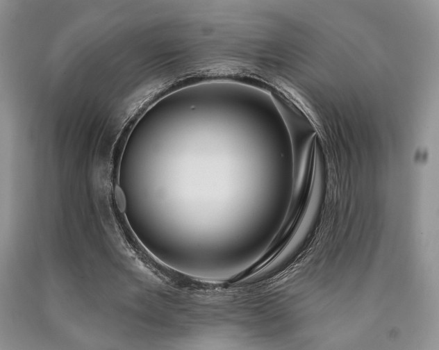 X0000090770485200707201442