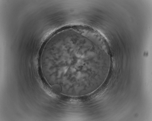 X0000090770487200707201442