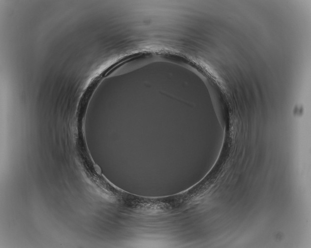 X0000090770488200707201442