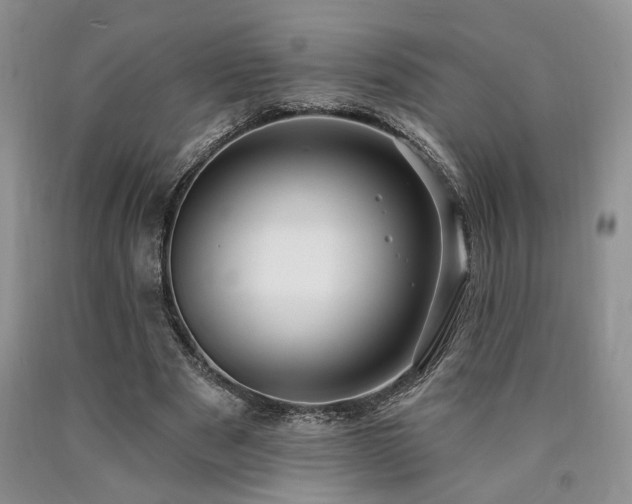 X0000090770489200707201442