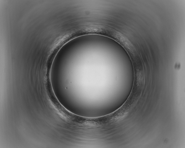 X0000090770490200707201442
