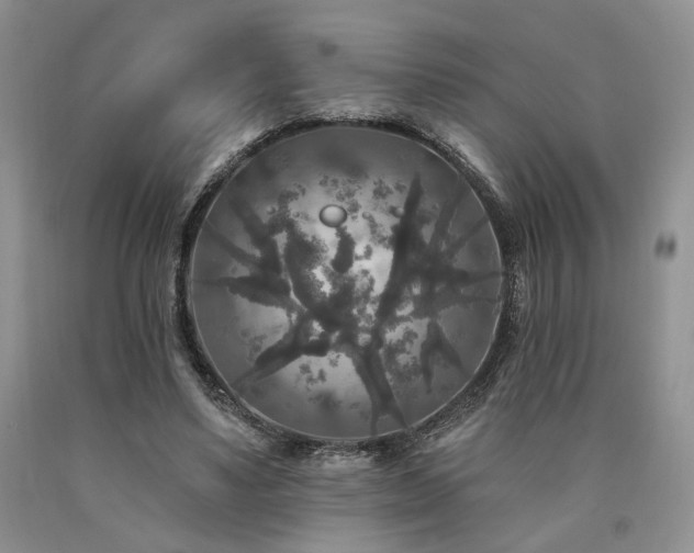 X0000090770491200707201442