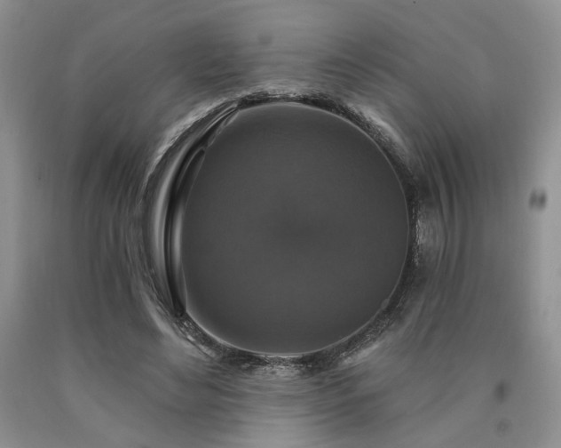 X0000090770492200707201442