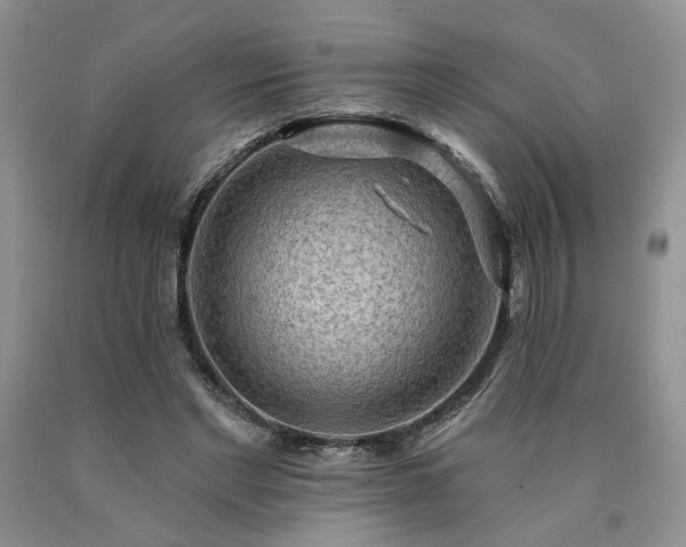 X0000090770493200707201442