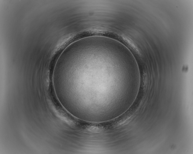 X0000090770494200707201442