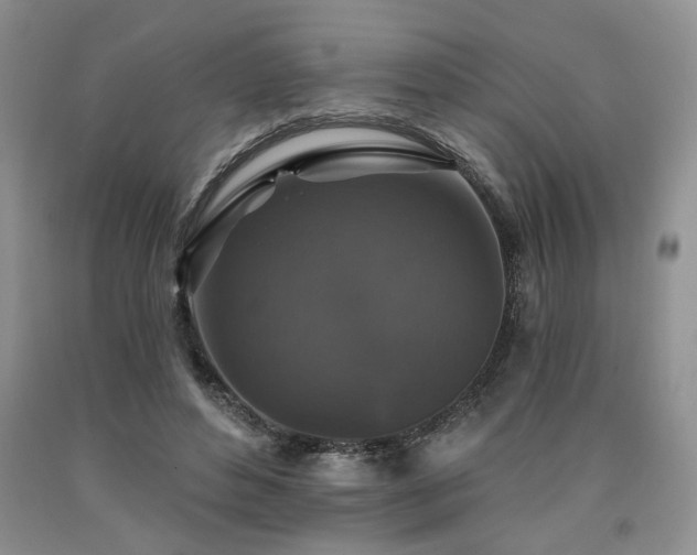 X0000090770496200707201441