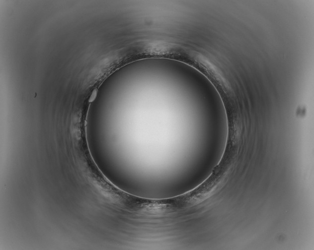 X0000090770497200707201441