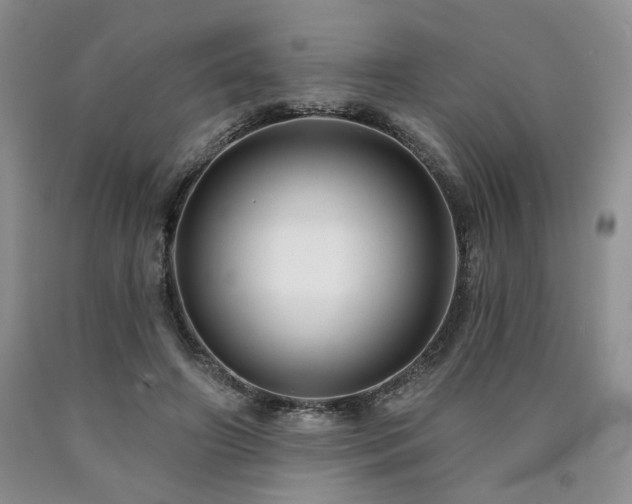 X0000090770498200707201441