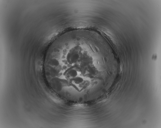 X0000090770499200707201441