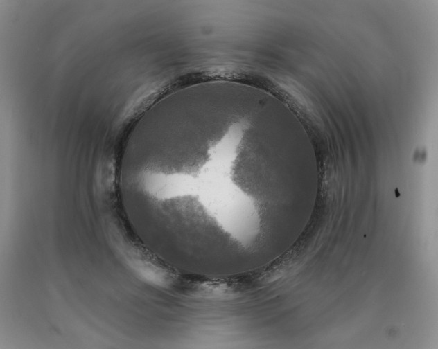 X0000090770502200707201441