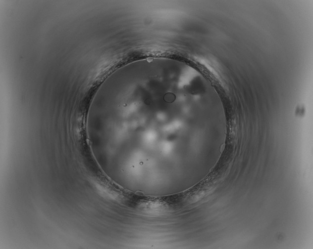 X0000090770503200707201441