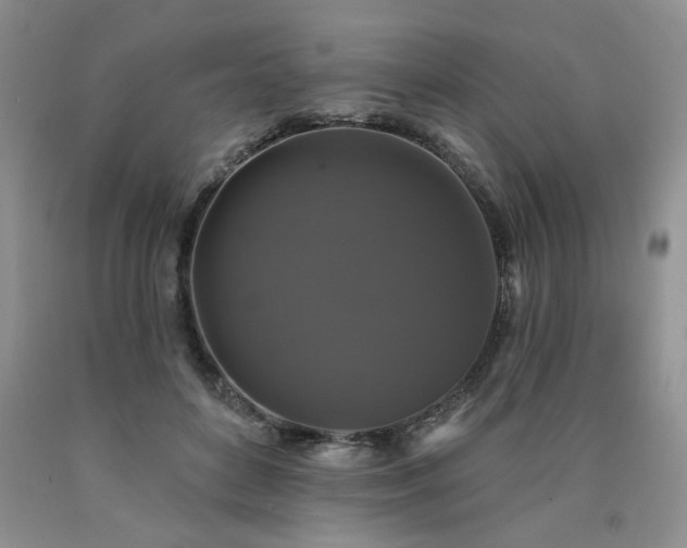 X0000090770504200707201441