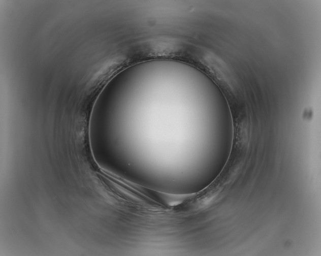 X0000090770505200707201441