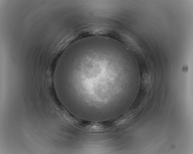 X0000090770506200707201441