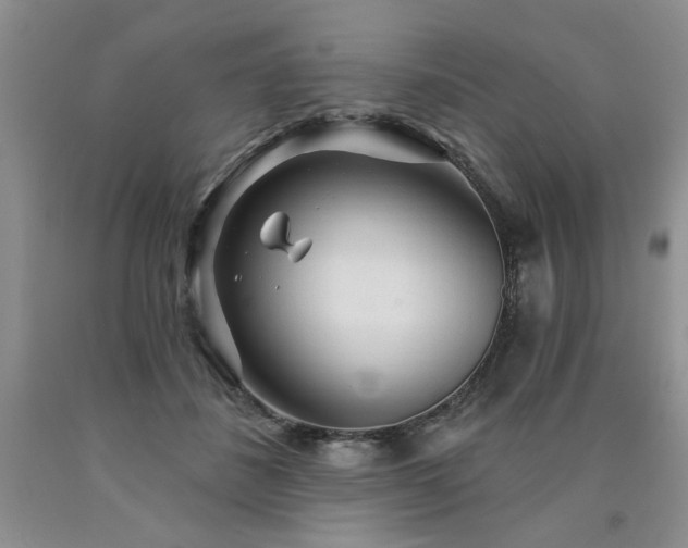 X0000090770508200707201441