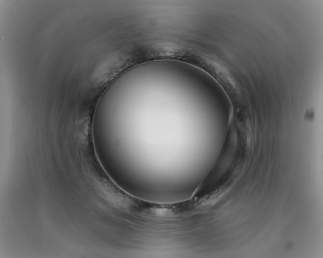 X0000090770509200707201441